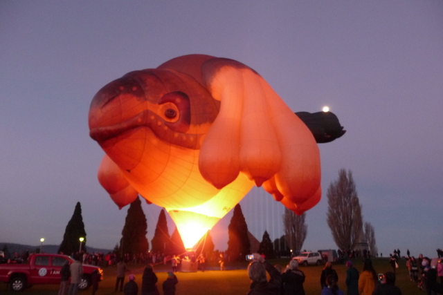 Skywhale at Dark Mofo 2013