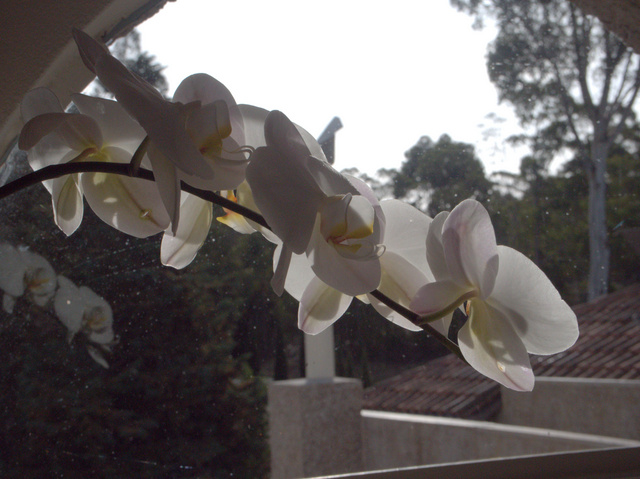 The gardens match the style of the hotel