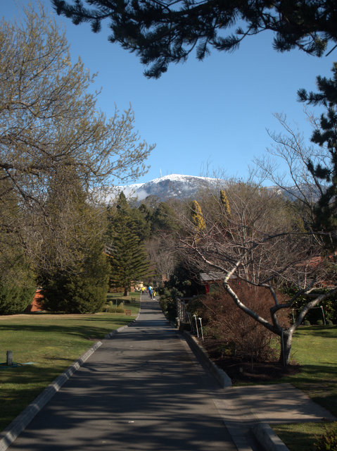 View of Mount Wellington / kunanyi from the Royal Tasmanian Botanical Gardens
