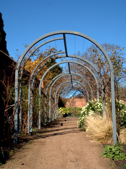 An impressive arbour in the herbaceous border, Royal Tasmanian Botanical Gardens