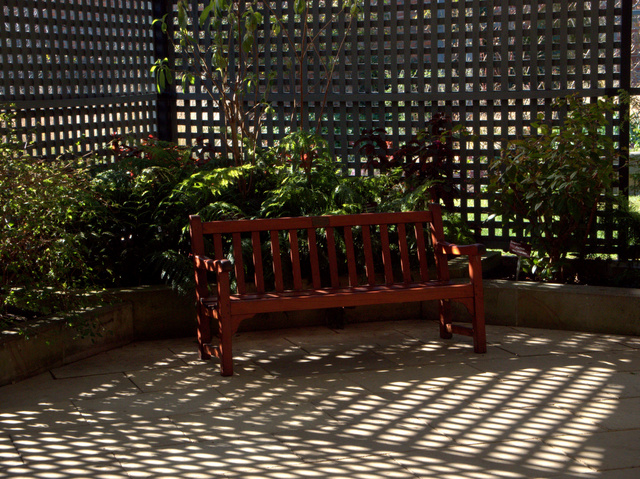 A shady spot to relax, Royal Tasmanian Botanical Gardens