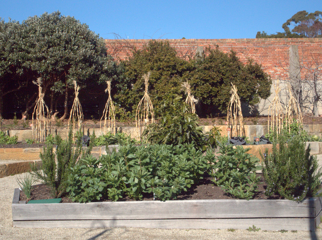 Food garden at the Royal Tasmanian Botanical Gardens