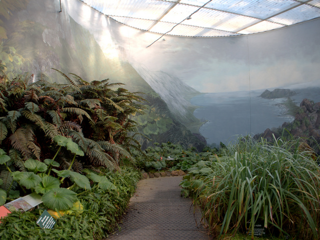 Get a taste of Macquarie Island inside the Subantarctic Plant House, Royal Tasmanian Botanical Gardens