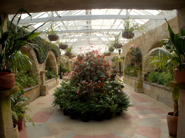 The Conservatory at the Royal Tasmanian Botanical Gardens