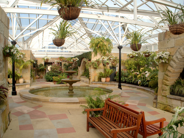 Inside the Conservatory at the Royal Tasmanian Botanical Gardens