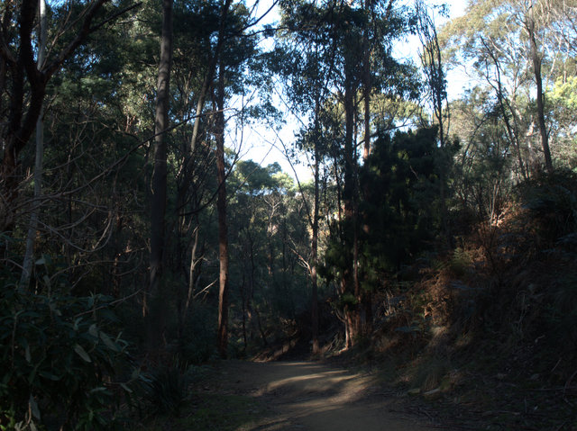 The Glover Trail, a few steps from Hobart's back doors, leads to tracks and views that would be familiar to residents in the early 1800s