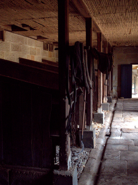 The stables were built to house just 13 horses