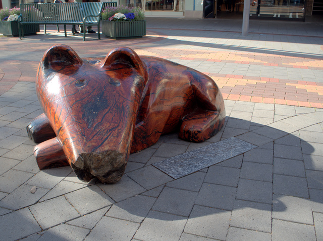 Thompson the Dog, Patrick Hall 1996. Timber sculpture located in the Elizabeth Street Mall