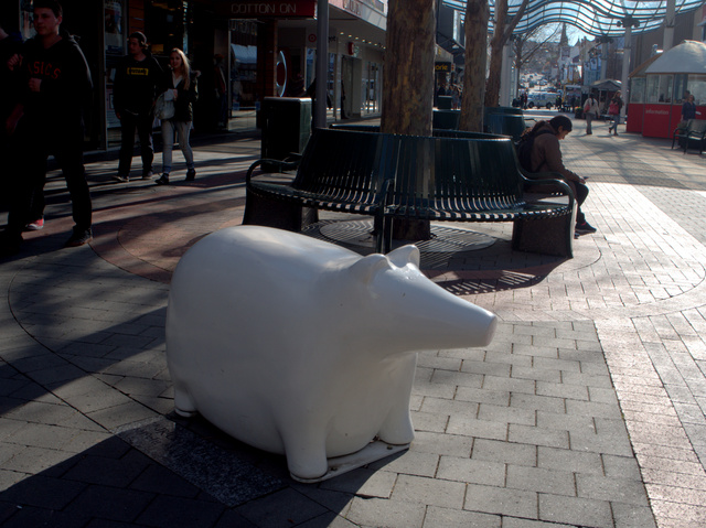 Maurice the Pig, Patrick Hall 1996. Moulded hebel sculpture, located in the Elizabeth Street Mall
