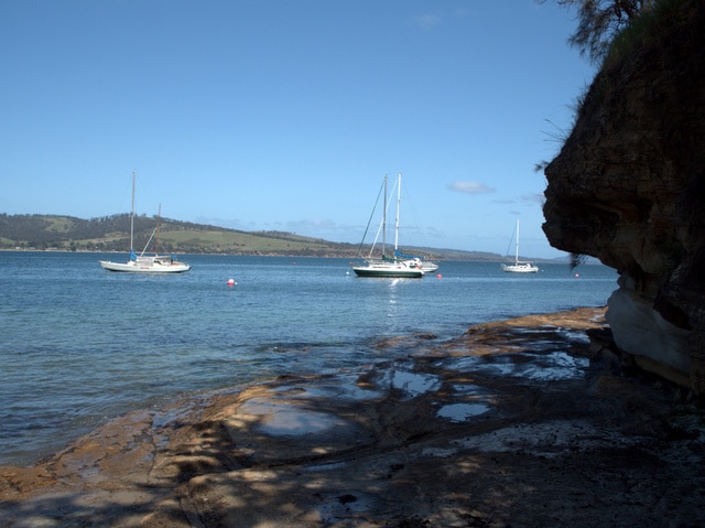 Yachts moored at Tinderbox, with a view across to Dennes Point