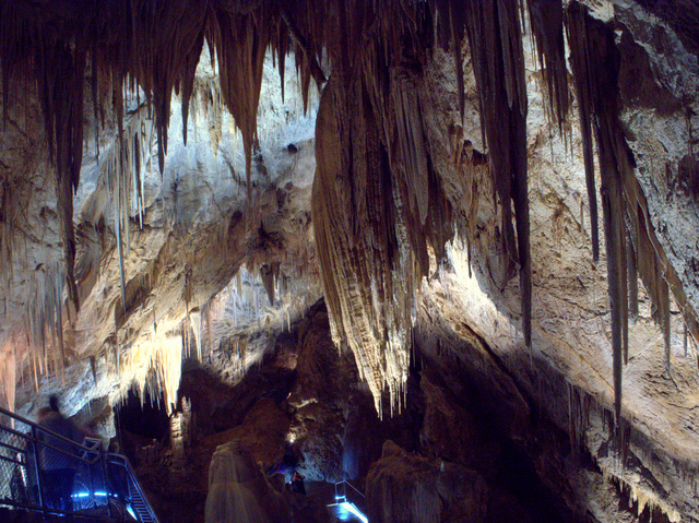 Inside Newdegate Cave at Hastings in Tasmania's far south