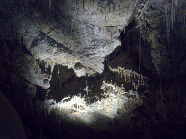 Inside Newdegate Cave in Tasmania's Far South