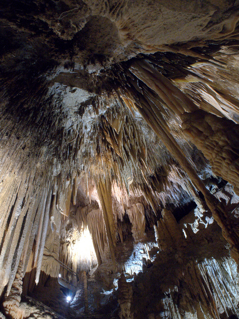 Inside Newdegate Cave at Hastings in Tasmania’s far south