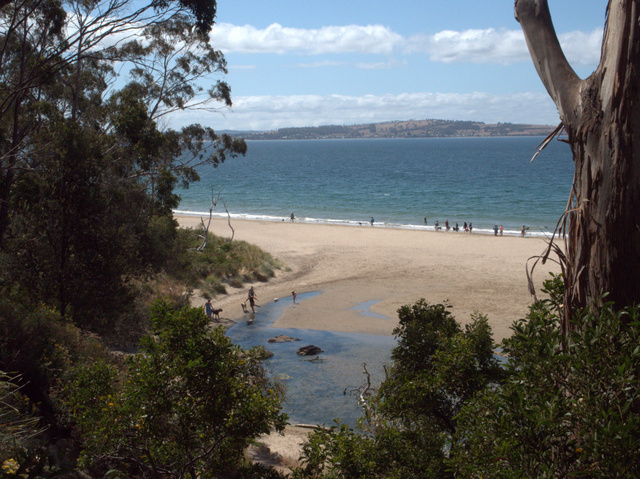 The 'dog beach' at Kingston (aka Tyndall Beach)