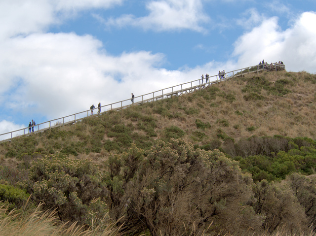 Rush hour at Chichen Itza (the ascent to the lookout at The Neck, Bruny Island)