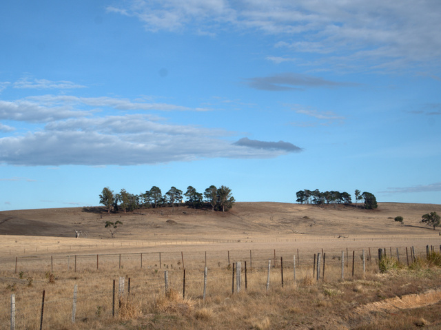 Fields near Hamilton, Tasmania