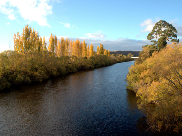 The River Derwent at Bushy Park in autumn