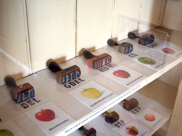 Stamps used to identify apple varieties on packing cases