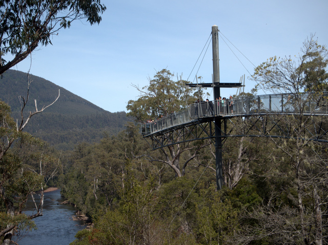 The Tahune Airwalk cantilevers out over the forest near the confluence of the Styx and Huon Rivers in southern Tasmania