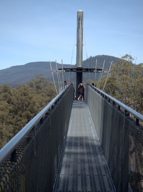 The Tahune Airwalk near Geeveston, Tasmania