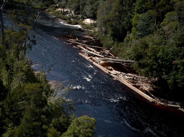 Logs and detritus, the results of winter flooding across Tasmania