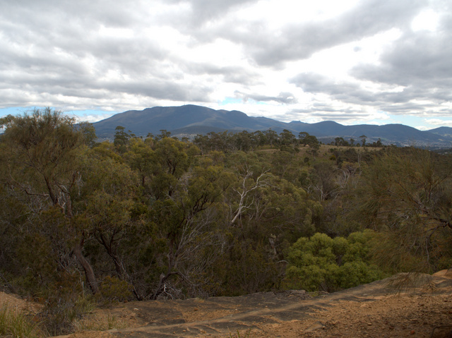 Mount Wellington - kunanyi from the Waverley Flora Park