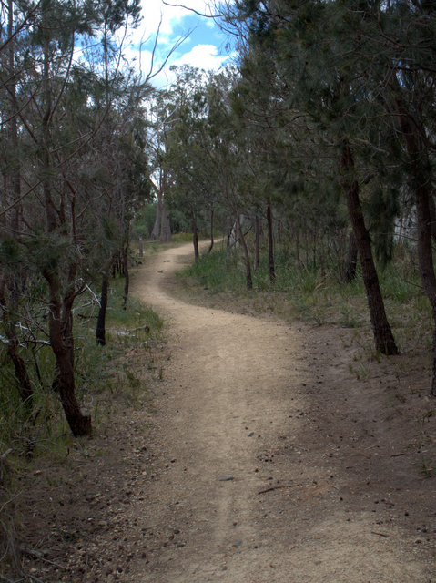 The trail includes the Waverley Flora Park in the hills above Bellerive
