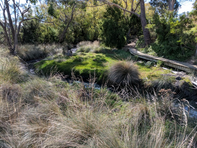 Dave Burrows walking trail