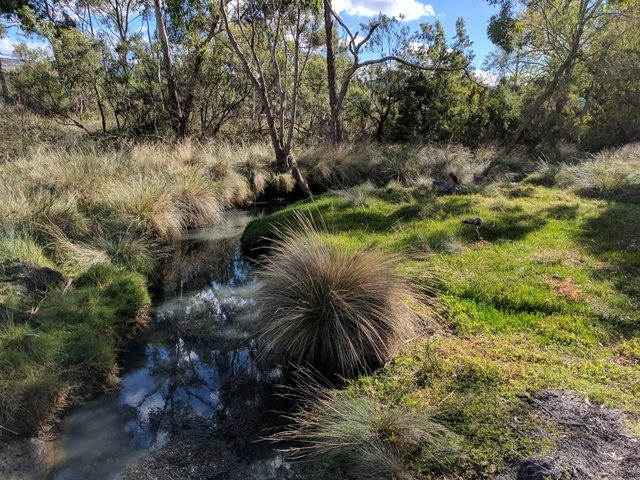 Foreshore along the Dave Burrows walking trail