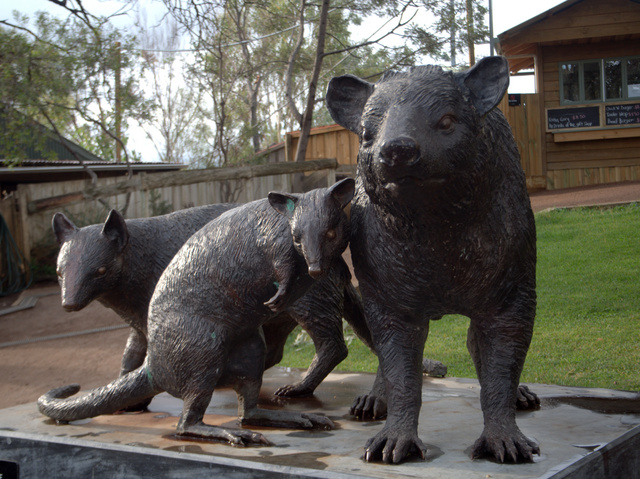 Tasmanian marsupials sculpted by Gillie and Marc on display at Bonorong Wildlife Sanctuary