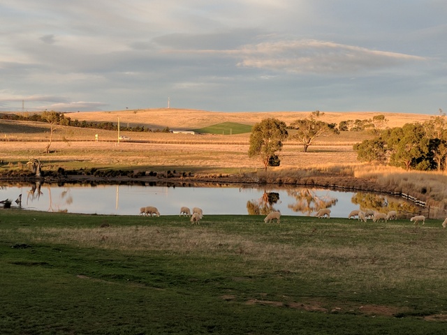 Sunset at Curringa Farm