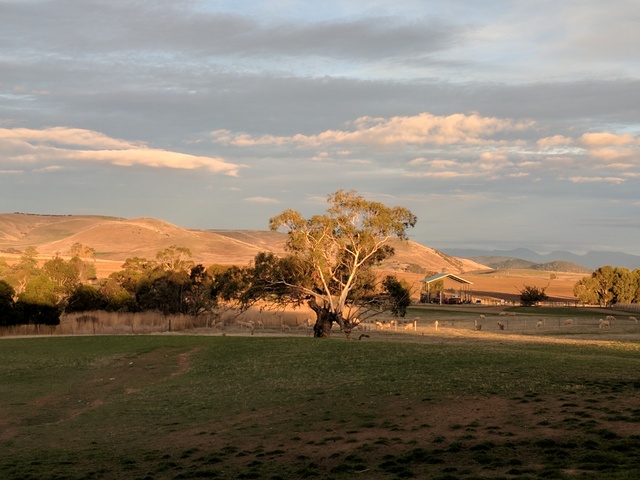 Sunset at Curringa Farm