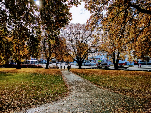 Parliament Gardens, Hobart