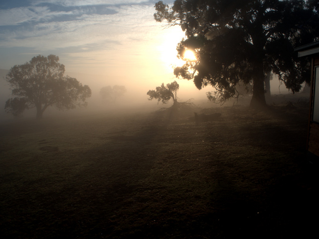 Dawn at Curringa Farm