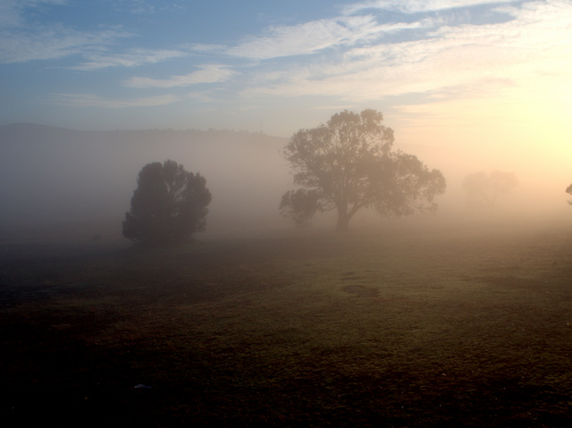 Dawn at Curringa Farm