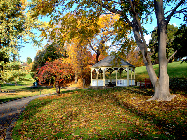 Autumn in the Royal Tasmania Botanical Gardens