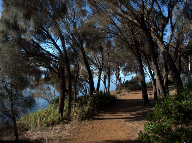 The track is easy walking and made of compacted gravel along most of its route