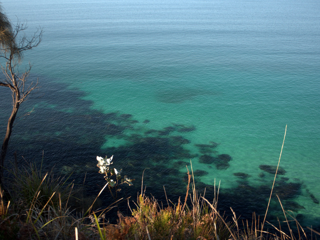 Aquamarine waters of the east coast, even on a winters day