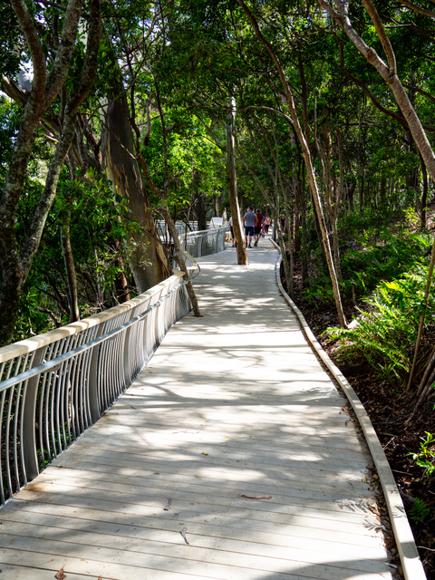 Boardwalk from Noosa Main Beach towards the National Park