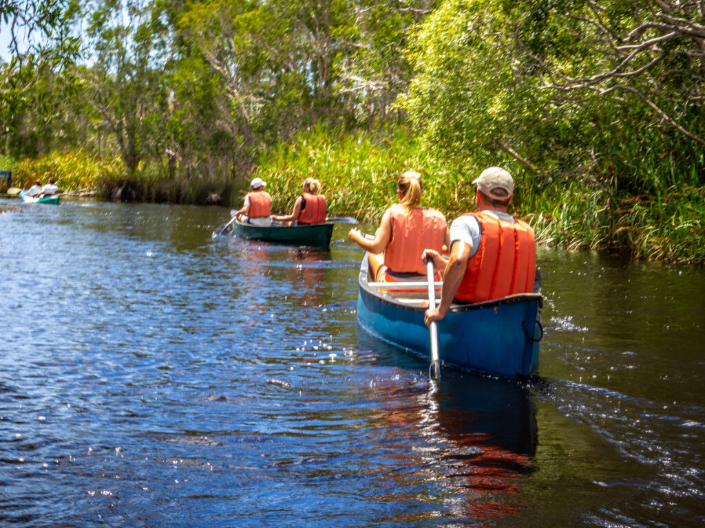 Paddling up the Noosa River