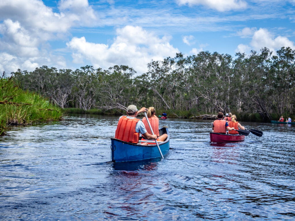 Kayaking up the Noosa River