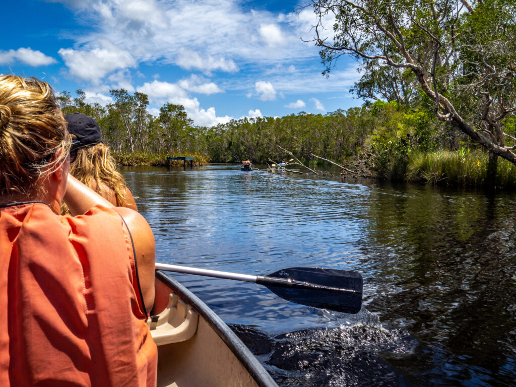 Kayaking up the Noosa River