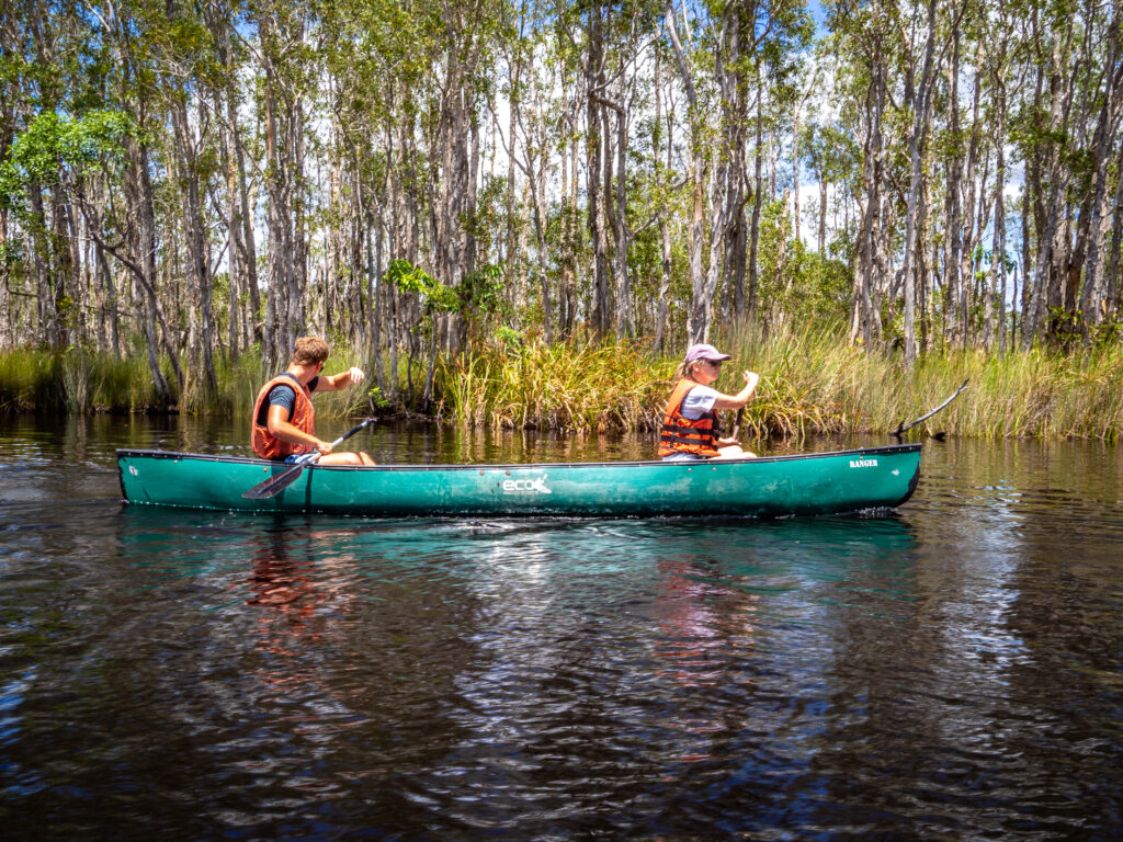 Kayaking up the Noosa River