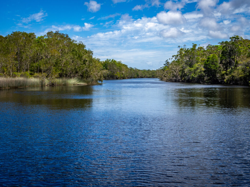 Cruising down the Noosa River from Harry's Hut