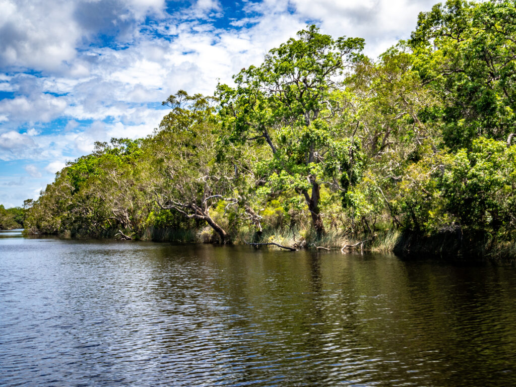 Upper Noosa River