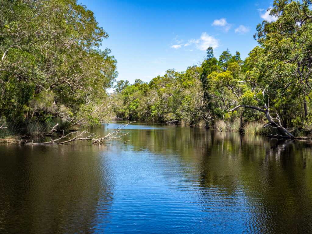 The Noosa River above Lake Cootharaba