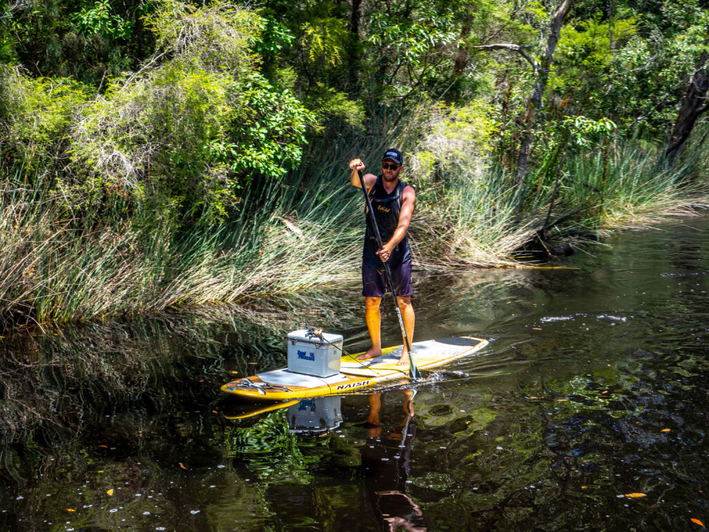 A paddle boarder fishing on the Upper Noosa River