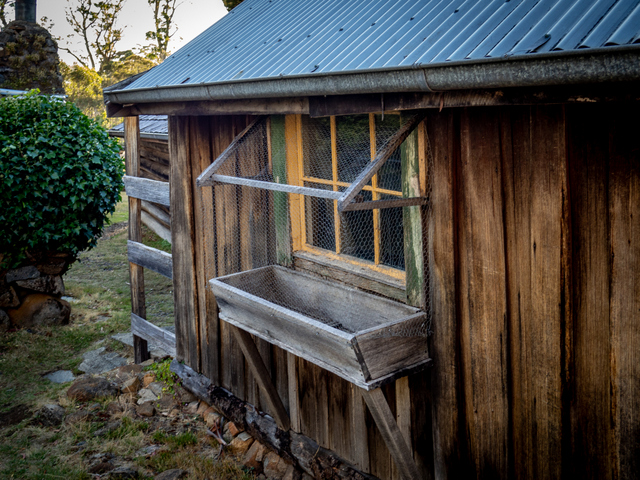 A timber trough outside the window of one of the outbuildings at Steppes Homestead