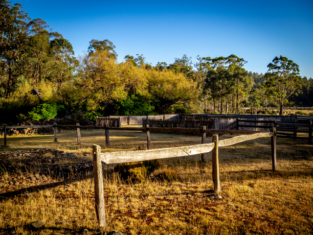 Post and rail fence at Steppes Homestead