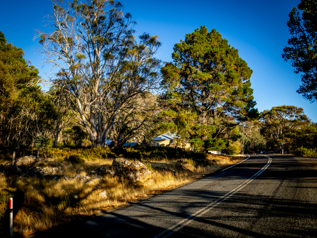 The Lake Highway at Steppes Homestead, central Tasmania